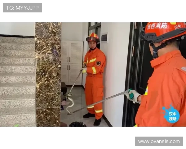 凯发真人国际:严格的隐私保护措施保障玩家个人信息安全