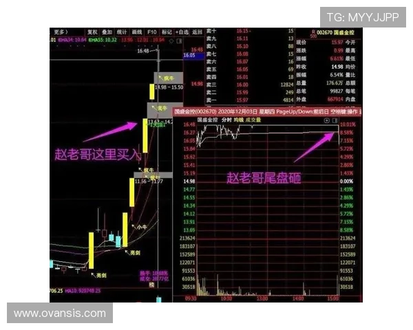 体育真人盘口全面解析助你掌握最新投注技巧提升盈利水平